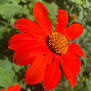 Meet your Posher, Doris